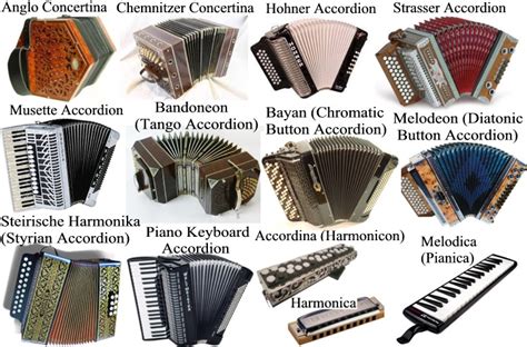 description  details  sample based instruments  akkordica virtual accordion bandoneon