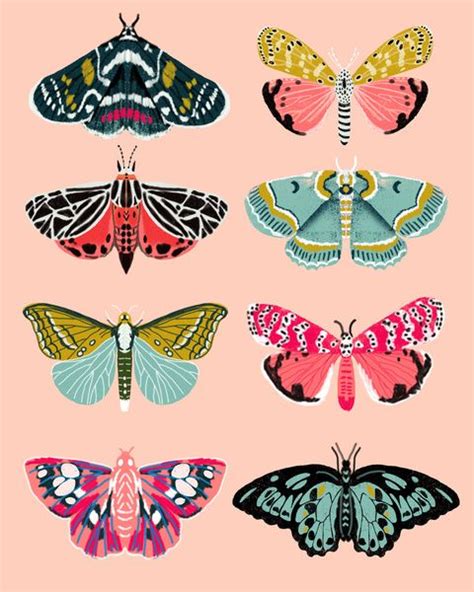 ideas  butterfly print  pinterest vintage butterfly