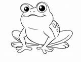 Coloring Frog Pages Fish sketch template