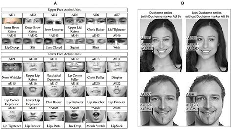 frontiers detection of genuine and posed facial expressions of