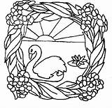 Coloring Pages Swan Swans Print Adult sketch template