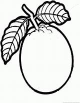 Guava Colouring Fruit Coloring Pages Clipart Clip sketch template