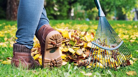 gartenarbeit im herbst checkliste der wichtigsten aufgaben wetterde