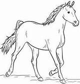 Colouring حصان الرسم تعليم وبسيطه بخطوه بالقلم رسم sketch template