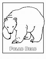 Polar Bear Coloring Pages Animals Arctic Endangered Color Kids Printable Animal Sheets Template Print Alaska Bears Cartoon Species Templates Sheet sketch template