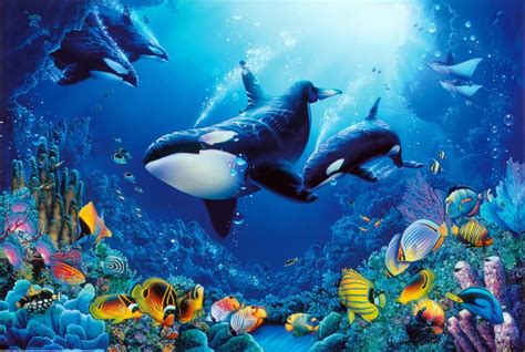 delight  life underwater scene art print poster  walmartcom