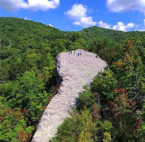 Blanton Forest State Nature Preserve Is An Ancient Forest