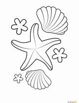 Pages Starfish Coloring Print Printable Color Getcolorings sketch template