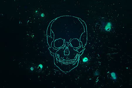 neon skull  hashuut  deviantart