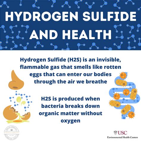 infographic hydrogen sulfide  health usc environmental health centers