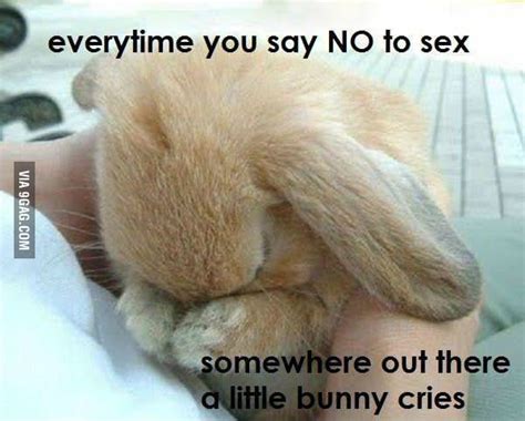 say yes today and save a bunny tomorrow 9gag
