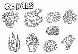 Coloring Corals Pages Print sketch template