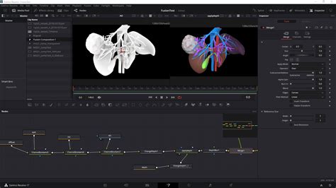tutorial davinci resolve  tvasurg  toronto video atlas  surgery