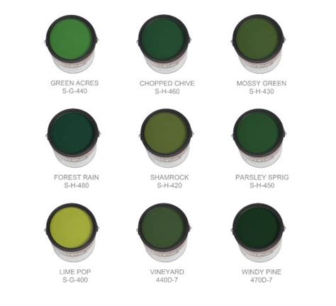 colorfully behr extreme green green accent walls emerald green