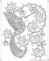 Vogel Malvorlage sketch template