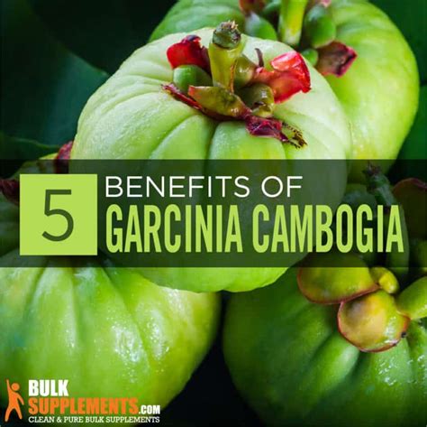 garcinia cambogia benefits side effects and dosage