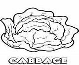 Cabbage Coloring Pages Vegetable sketch template