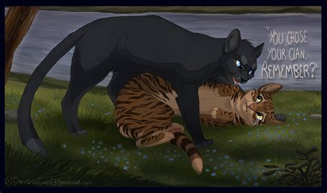 Leafpool And Crowfeather By Dancingfoxeslf On Deviantart