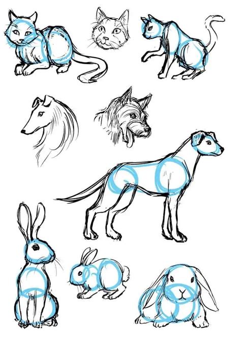 easy animal sketch drawing information ideas brighter craft