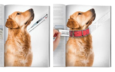aspca print advert  school  visual arts dog collar ads   world