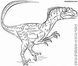 Raptor Coloring Pages Ford Printable Color Getdrawings Getcolorings Print sketch template