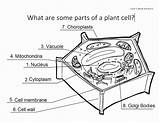 Worksheet sketch template