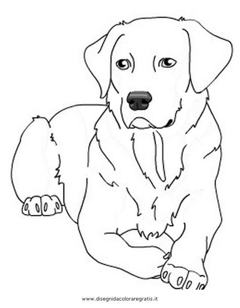 labrador retriever coloring page sketch coloring page dog coloring