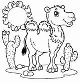 Camel Coloring Pages Getcolorings Printable Print Camels sketch template