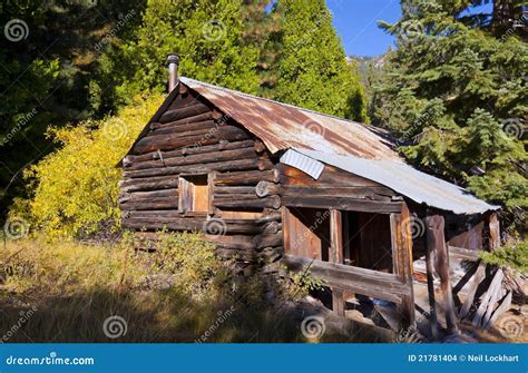 log cabin woods stock photo image  roof trees western