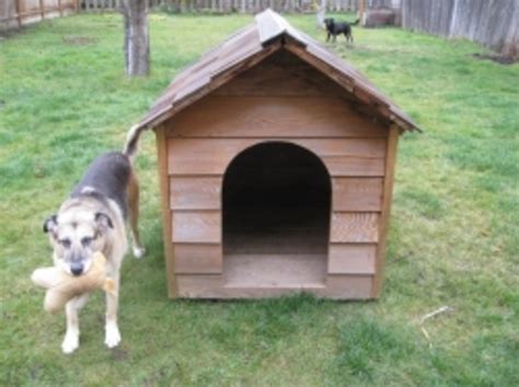 homemade dog house hubpages