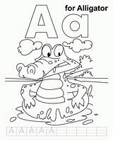 Alligator Coloring Pages Practice Handwriting Kids Jumbo Letter Worksheets Printable Preschool Alphabet Apple Popular Alligators Colouring Info Print sketch template
