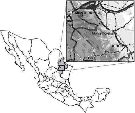Map Of Mexico And Detail Of South Nuevo León The Area Of