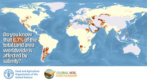 主页 全球盐渍土壤研讨会 gsas21 联合国粮食及农业组织