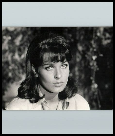 1960s Senta Berger Stylish Pose Stunning Portrait Keystone Orig Photo