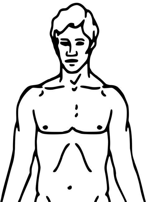 images   human body front   human body outline front