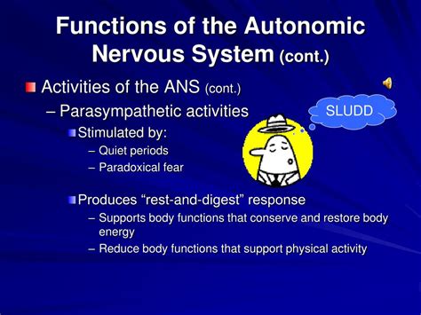 ppt chapter 11 autonomic nervous system powerpoint