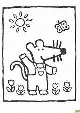 Coloriage Souris Maisy Colorier Magique Maternelle Muis Supercoloriage Lunette école Cuento Bricolage Enregistrée sketch template