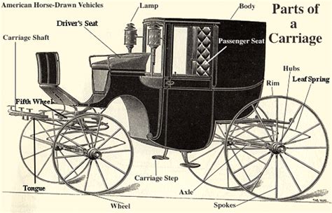 horse drawn wagon parts diagram drivenheisenberg