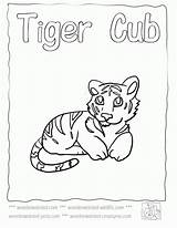 Tiger Coloring Baby Cute Pages Kids Tigers Animals Wonderweirded Cubs Color Wildlife Echo Print Cartoon Mother Library Clipart Colouring Popular sketch template