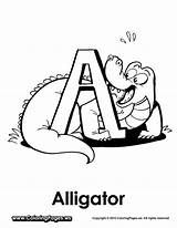 Alligator Coloring Pages Printable Alligators Online Alphabet sketch template