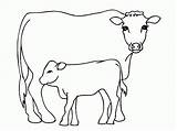 Cow Coloring Printable Pages Clipart Calf Library Gif sketch template
