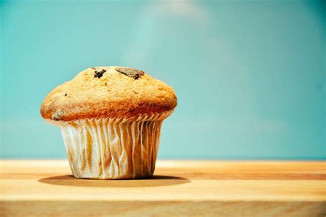 blueberry muffin battle  nutrition source harvard