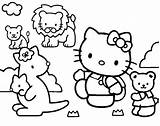 Hello Coloring Pages Friends Kitty sketch template