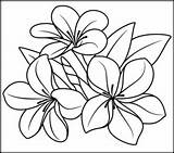 Color Flowers Coloring Number Numbers Online Pages Flower Paint Tropical Hard Plumeria Printable Sheets Kids Games Printables Adult Malvorlagen Colour sketch template