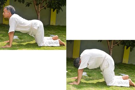 benefits  cat  pose bitilasana marjaryasana yoga  nepal