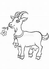 Goat Coloring Pages Cute Animals Little Mouth Flower Colorless sketch template
