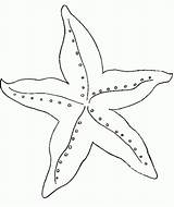 Estrella Dibujos Estrellas Starfish Coloring sketch template