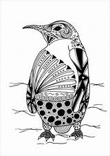 Penguin Intricate Favecrafts Primecp Irepo Coloringbay Martinchandra Kaleidoscopic sketch template