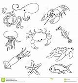 Underwater Coloring Pages Sea Colouring Inspiration Marine Animals Unique Pdf Albanysinsanity Adult sketch template