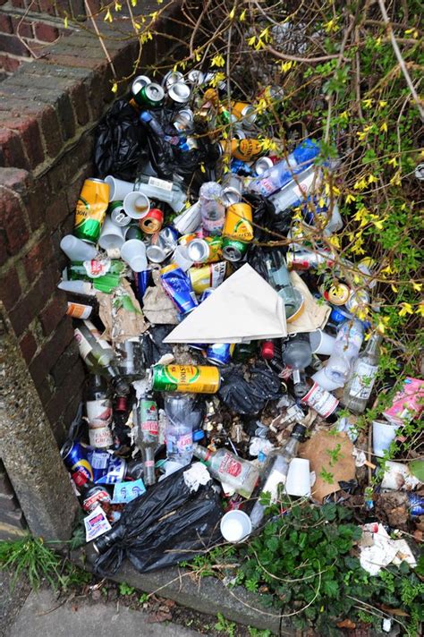 put litter fines     hounslow councillors  west london